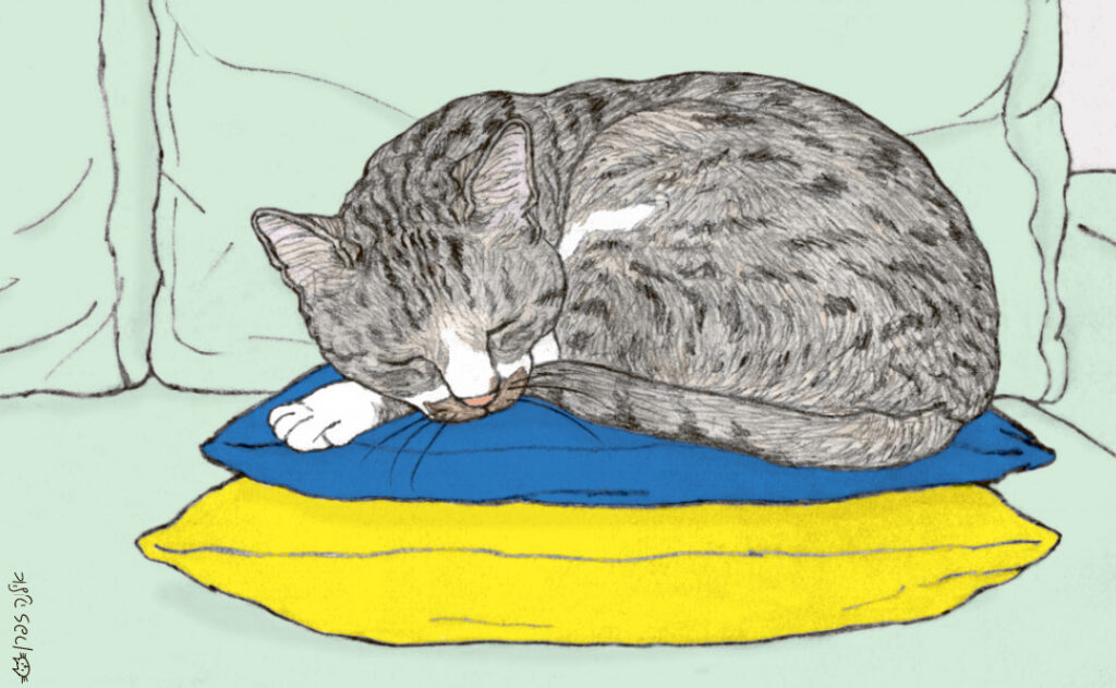 Mnemonics of "felicidad" llustration by Ilana Zeffren