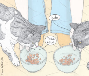 Read more about the article How to Say “Thank You” (and “You’re Welcome!”) in Hebrew