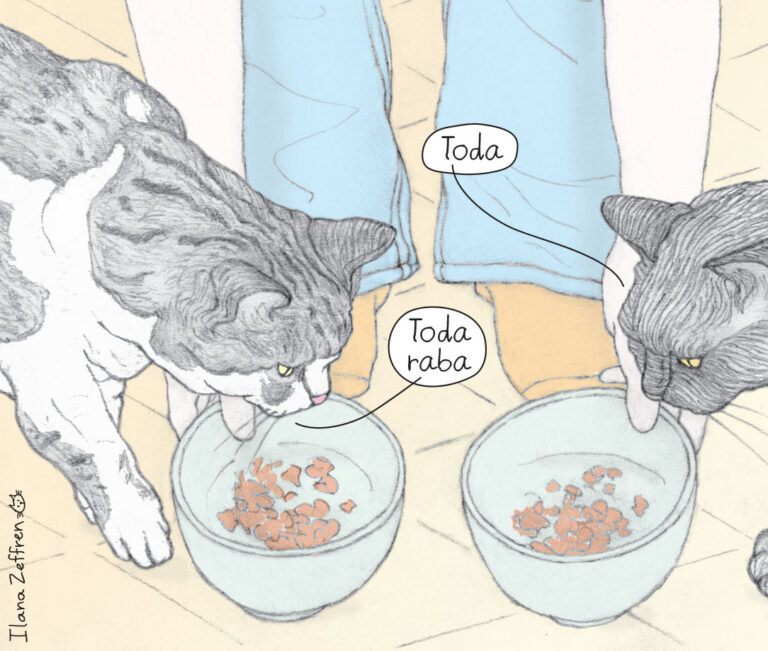 Read more about the article How to Say “Thank You” (and “You’re Welcome!”) in Hebrew